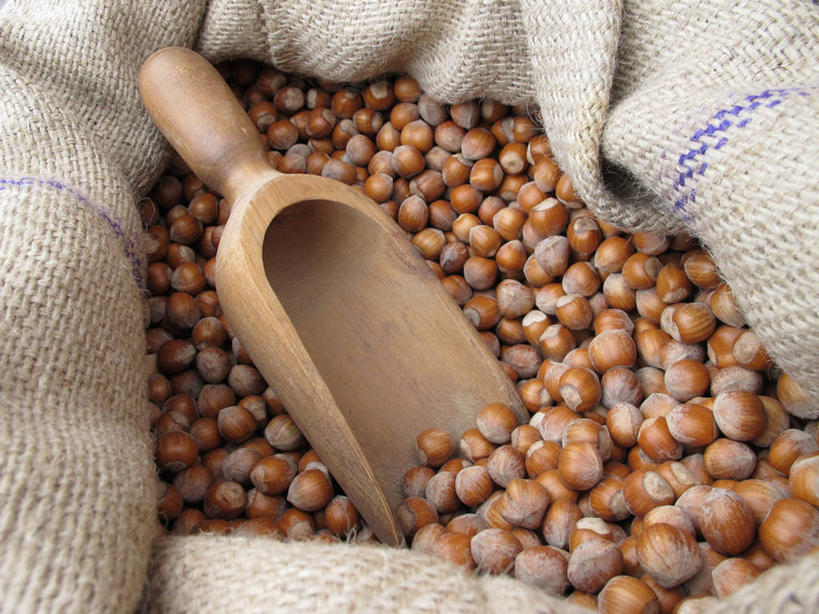 无人,横图,室内,白天,意大利,欧洲,生食,坚果,饮食,摄影,南欧,清新,榛子,健康食物,意大利共和国,皮埃蒙特大区,皮埃蒙特,彩图,库内奥省