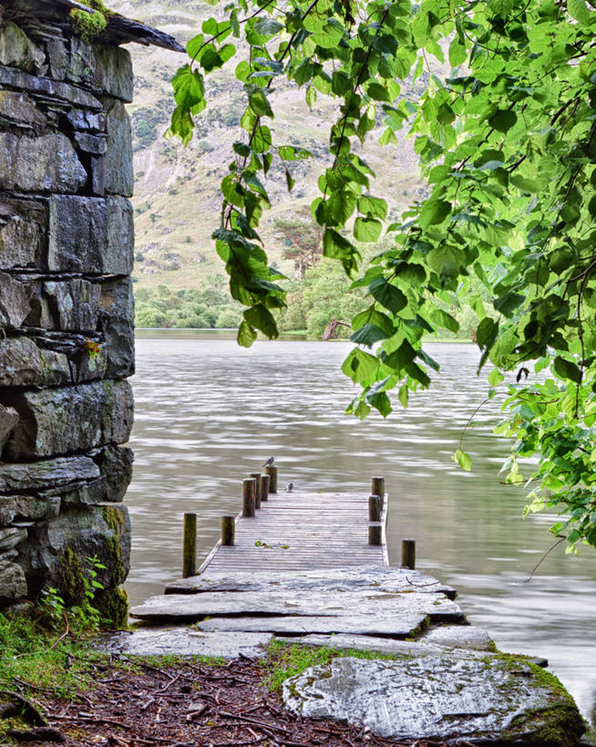 无人,竖图,室外,白天,英国,鸟类,石墙,树,自然,动物,两只,摄影,宁静,彩图