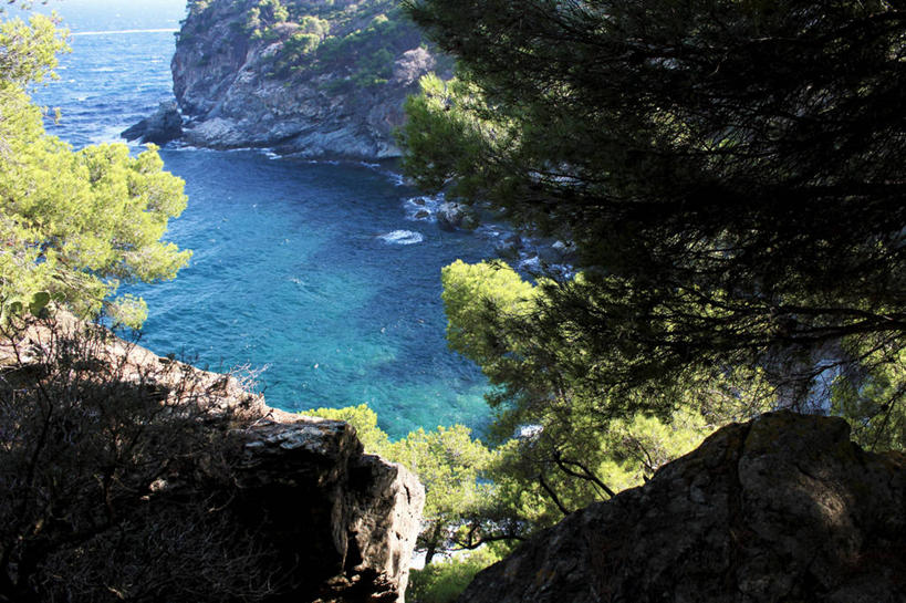 无人,横图,俯视,室外,白天,海洋,西班牙,悬崖,树,自然,摄影,宁静,赫罗纳省,岩石,彩图,高角度拍摄