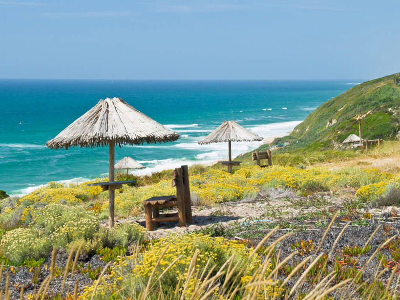 无人,横图,室外,白天,海洋,椅子,葡萄牙,巴西,草,天空,自然,南美,摄影,宁静,南美洲,拉丁美洲,美洲,巴西联邦共和国,亚美利加洲,南亚美利加洲,巴伊亚,巴伊亚州,海滩,彩图,纳扎雷