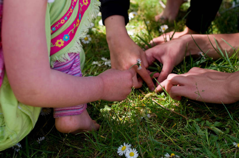 儿童,手,三个人,横图,室外,白天,新西兰,休闲装,草,童年,摄影,部分,专心,享乐,搜寻,彩图
