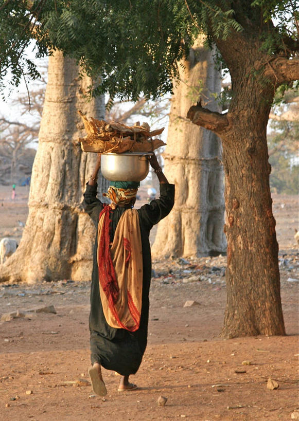 成年人,一个人,家庭,竖图,室外,白天,马里,仅一个女性,拿着,休闲装,树干,背面,温暖,温馨,一家人,头顶,摄影,和睦,猴面包树,岩石,步行,彩图,融洽,柴火