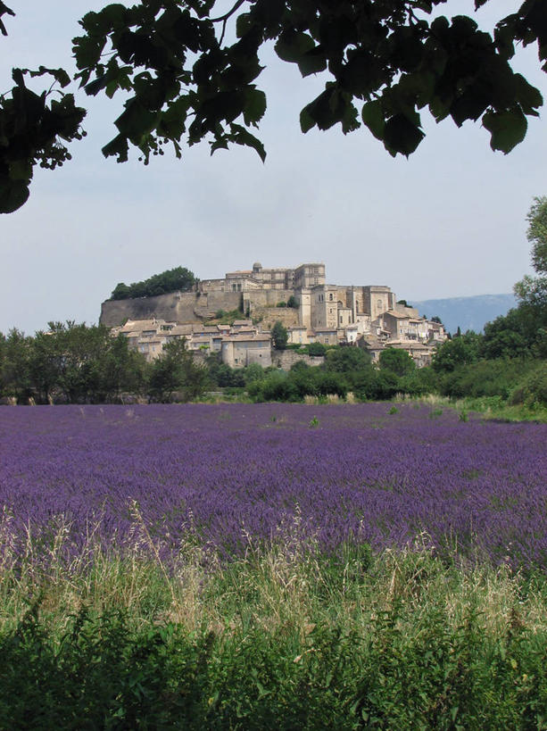 无人,竖图,室外,白天,爱情,农业,山,建筑,法国,城堡,田地,浪漫,历史,草,树,风景,地标建筑,香草,薰衣草,摄影,生长,呼吸,万里无云,灵香草,黄香草,奇迹,彩图,德龙省