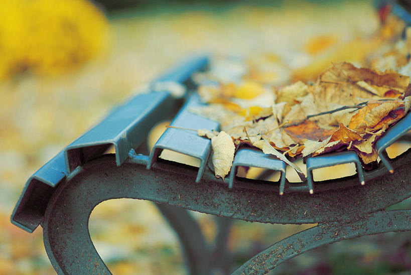 无人,横图,室外,特写,白天,叶子,意大利,长椅,蓝色,自然,摄影,宁静,彩图,郊野公园