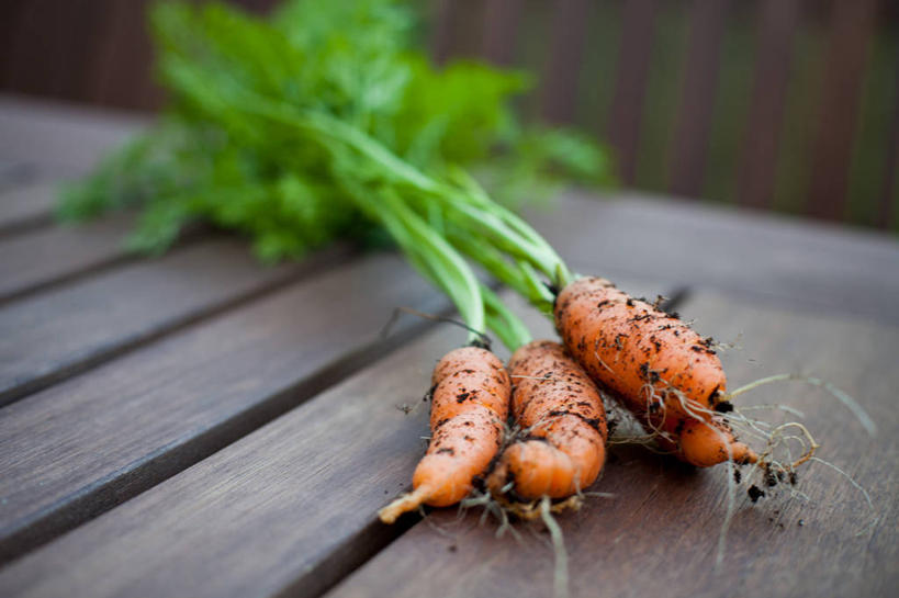 无人,横图,室内,桌子,胡萝卜,蔬菜,美国,木制,泥土,茎,串,饮食,摄影,清新,健康食物,彩图