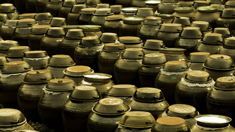 无人,横图,室外,特写,重复,日光,韩国,一排,许多,丰富,整齐,很多,排列,黄昏,摄影,队列,韩国泡菜,大田,彩图