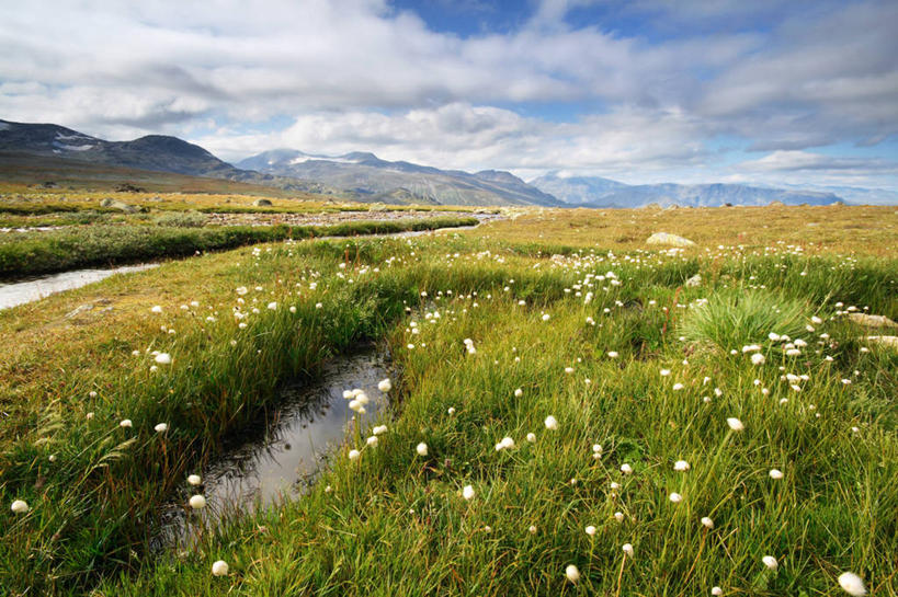 无人,横图,室外,白天,旅游,度假,农作物,草地,草原,美景,山脉,挪威,地形,景观,云,羊胡子草,娱乐,草,天空,小溪,自然,享受,休闲,景色,放松,摄影,生长,宁静,自然风光,彩图
