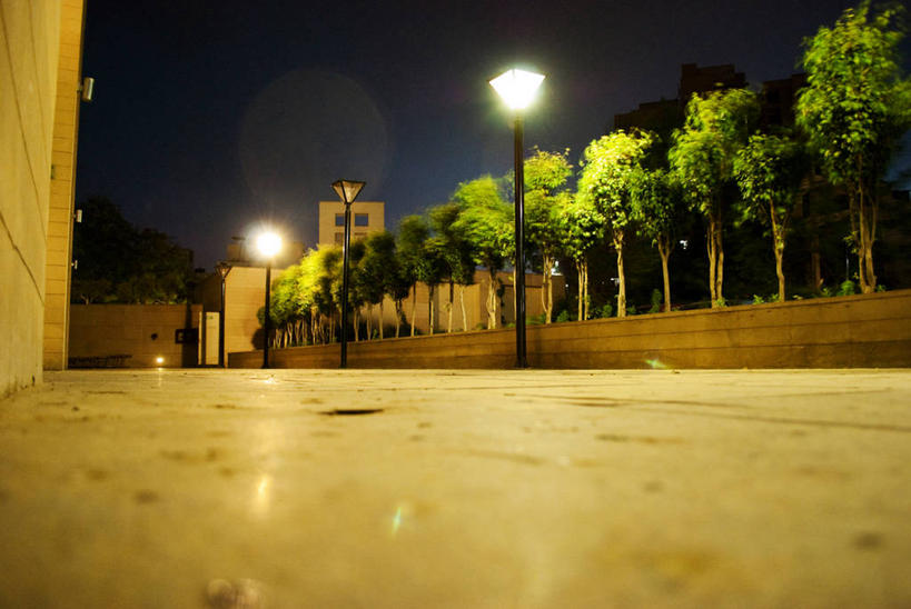 无人,横图,室外,特写,夜晚,路灯,印度,走廊,树,天空,摄影,宁静,照亮,哈里亚纳邦,彩图,林荫大道