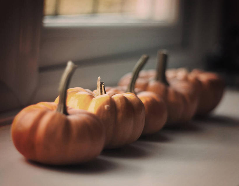 无人,横图,室内,白天,南瓜,蔬菜,英国,一排,新鲜,整齐,金瓜,食品,饮食,番瓜,窗台,食物,排列,摄影,有机食品,绿色食品,麦瓜,倭瓜,队列,清新,健康食物,彩图