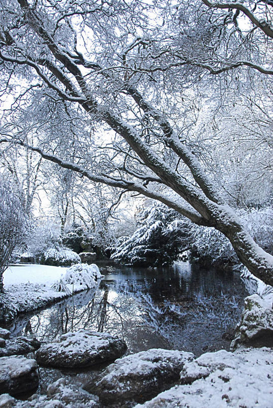 无人,竖图,室外,白天,森林,水,雪,法国,反射,冬天,树,自然,寒冷,摄影,里尔,岩石,彩图