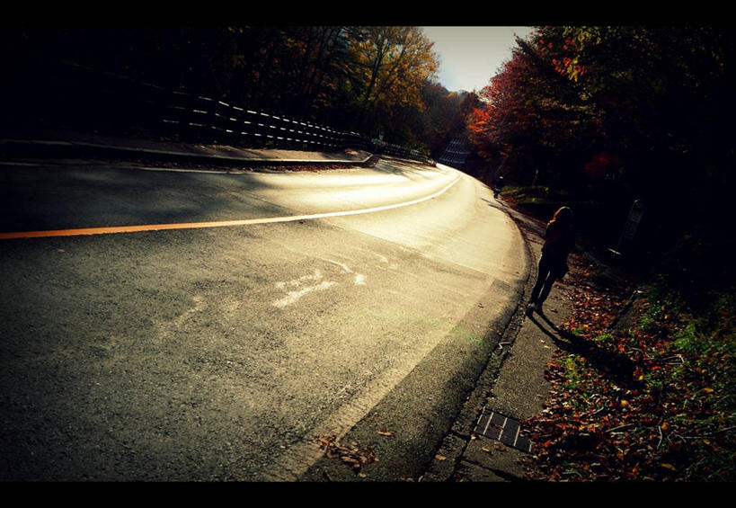 一个人,横图,室外,日落,路,叶子,日本,亚洲,阴影,弯曲,路标,树,黄昏,摄影,落下,改变,东亚,本州,枥木县,关东地方,本州岛,日本国,崎玉,崎玉县,秋天,彩图,日高市