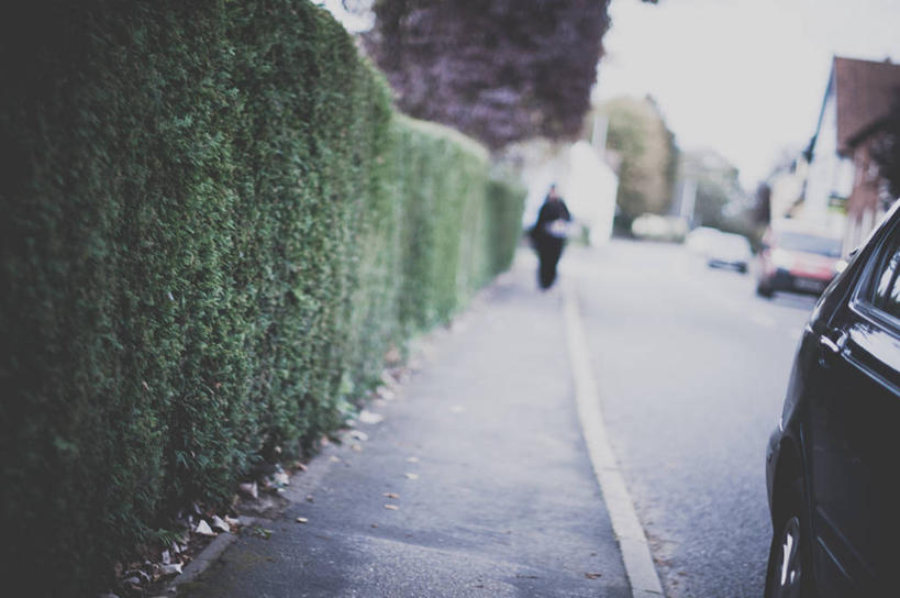 一个人,横图,室外,白天,街道,汽车,英国,乡村,运输,摄影,灌木,汽车部件,树篱,彩图