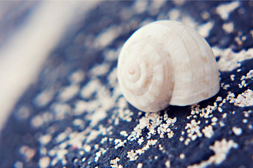 无人,横图,特写,白天,西班牙,一个,白色,摄影,单个,兰萨罗特岛,大西洋群岛,海滩,岩石,彩图