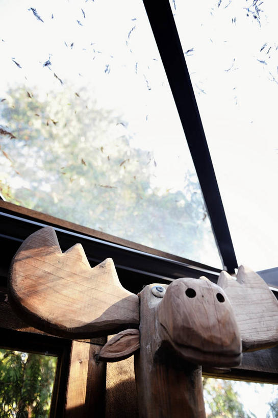 无人,竖图,室内,白天,仰视,雕塑,日光,加拿大,木制,树,天空,摄影,巨大,庞大,创造力,驼鹿,手艺,温哥华,宏大,硕大,伟大,大不列颠哥伦比亚,彩图,低角度拍摄