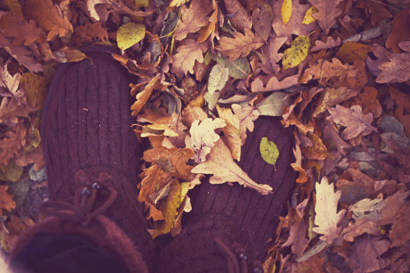 无人,横图,室外,特写,白天,叶子,德国,欧洲,靴子,自然,摄影,西欧,改变,德意志联邦共和国,莱茵兰.普法尔茨州,秋天,彩图,巴特克罗伊茨纳赫