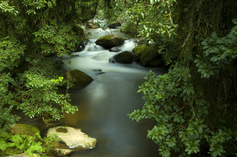 无人,横图,室外,白天,美景,水,巴西,景观,苔藓,树,风景,小溪,自然,景色,摄影,宁静,自然风光,米纳斯吉拉斯州,彩图