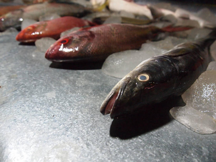 无人,横图,室外,白天,印度,冰,生食,鱼类,饮食,摄影,清新,喀拉拉邦,海产,彩图