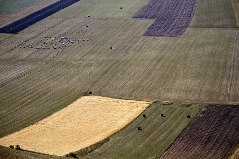 无人,横图,俯视,室外,白天,农业,美景,意大利,一群,许多,地形,景观,田地,干草,羊群,很多,自然,草垛,家畜,景色,摄影,牲畜,自然风光,干草垛,绵羊,彩图,高角度拍摄