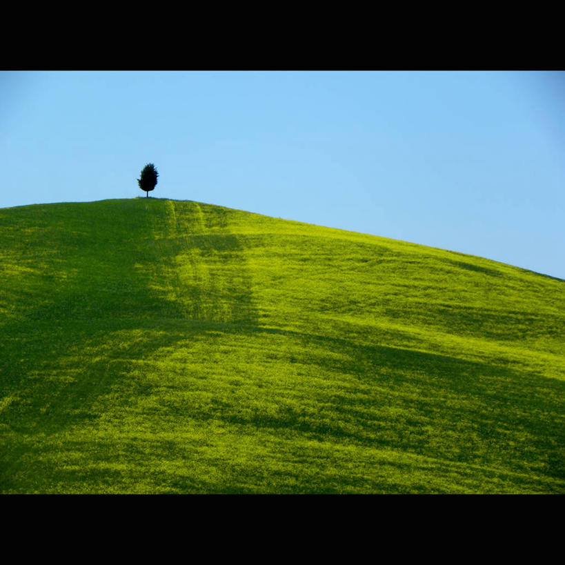 无人,方图,室外,白天,留白,寂寞,山,意大利,地形,草,自然,摄影,宁静,托斯卡纳区,维得斯卡,万里无云,彩图