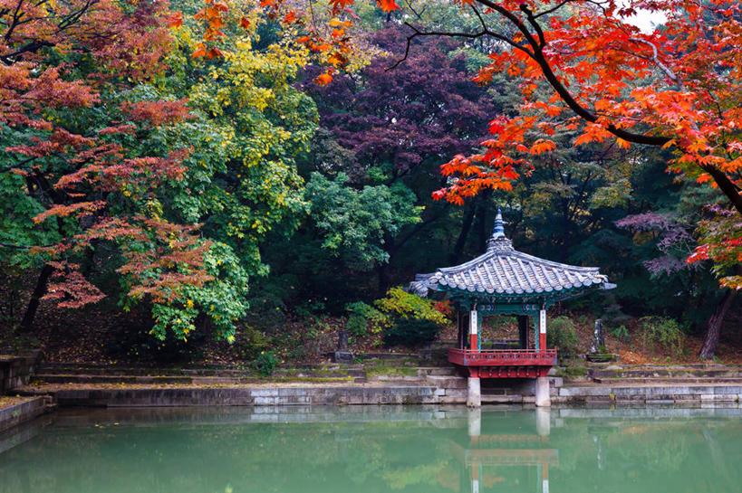 无人,花园,宫殿,横图,室外,白天,湖,花圃,美景,首尔,韩国,反射,景观,首都,树,自然,景色,摄影,宁静,自然风光,改变,秋天,小花园,彩图