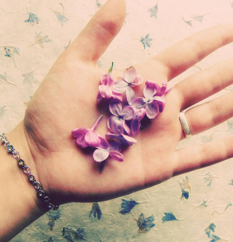 手,一个人,竖图,特写,罗马尼亚,花纹,花,花瓣,戒指,摄影,手镯,部分,脆弱,出示,彩图