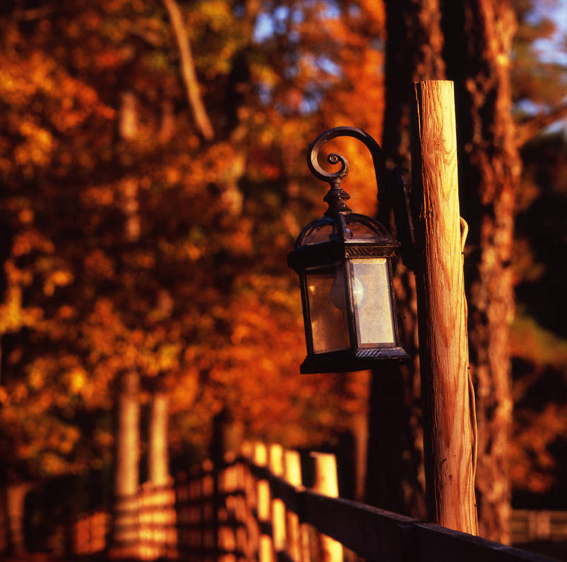 无人,横图,方图,室外,日落,日光,美国,木制,灯笼,篱笆,杆,树,自然,黄昏,摄影,能源,改变,亚特兰大,秋天,彩图