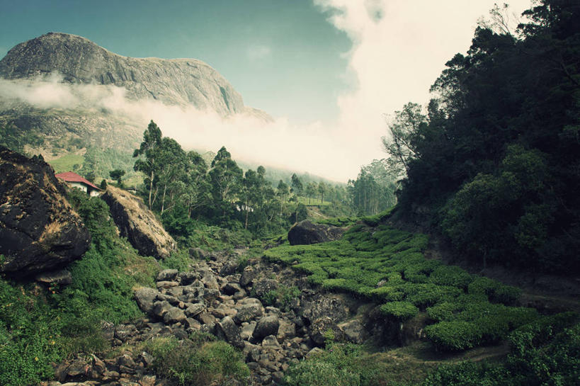 无人,横图,室外,农业,日出,山,印度,地形,云,树,自然,摄影,生长,宁静,种植园,喀拉拉邦,岩石,彩图