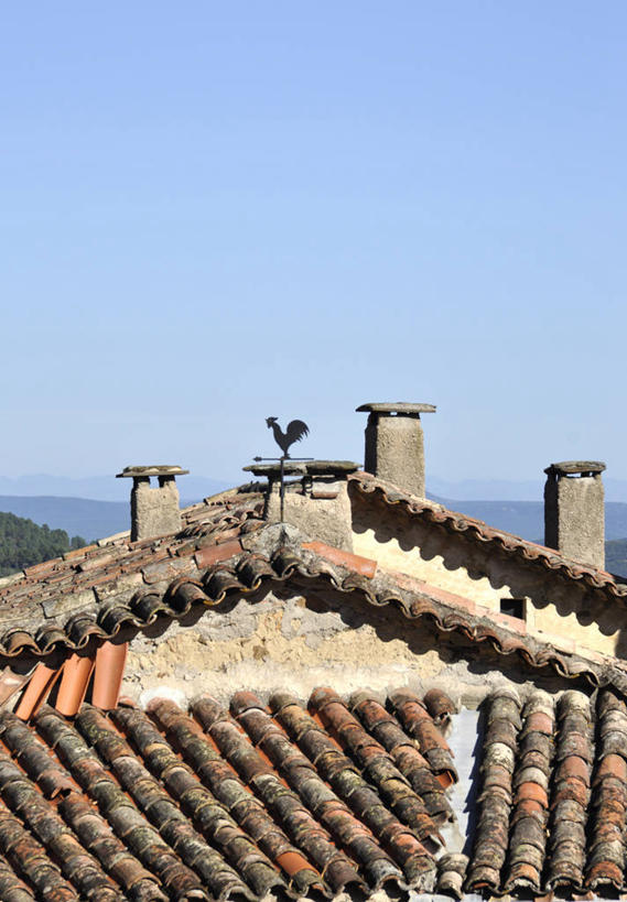 无人,竖图,室外,白天,建筑,法国,屋顶,天气,瓦,方向,摄影,指导,万里无云,预测,风标,彩图