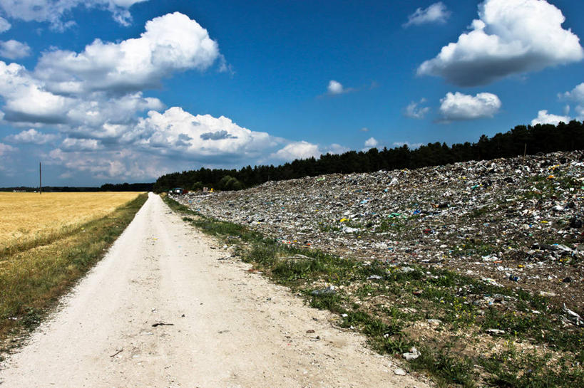 无人,横图,室外,白天,路,爱沙尼亚,城镇,垃圾,树,自然,运输,摄影,宁静,透视图,彩图