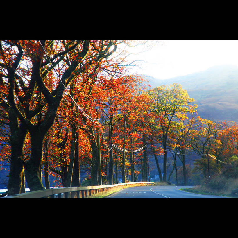 无人,方图,室外,美景,山,路,英国,景观,苏格兰,风景,自然,景色,摄影,宁静,清新,自然风光,秋天,彩图,防撞护栏,林荫大道
