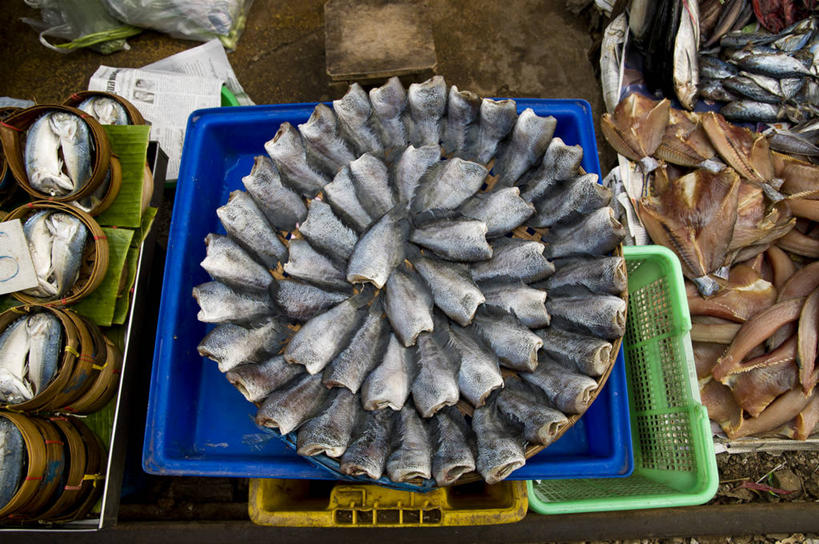 无人,横图,俯视,室外,白天,渔业,泰国,一排,许多,丰富,整齐,市场,很多,餐盘,鱼类,饮食,排列,零售,摄影,多样,队列,清新,蒸锅,海产,彩图,高角度拍摄