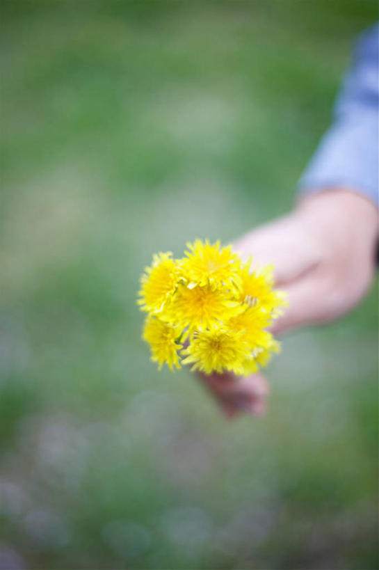 手,一个人,竖图,室外,日本,串,拿着,花,黄色,摄影,部分,脆弱,清新,彩图