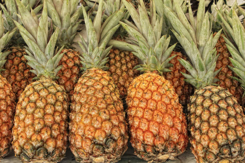 无人,横图,室外,特写,白天,菠萝,水果,巴西,一排,整齐,饮食,排列,摄影,队列,清新,里约热内卢,里约热内卢州,彩图