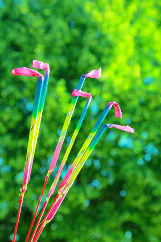 无人,竖图,室外,特写,白天,美国,庆祝,光线,包装,包装纸,纸,光芒,树,摄影,美术工艺,彩图