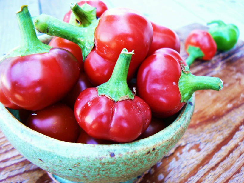 无人,横图,室外,特写,白天,纽约,美国,许多,很多,碗,摄影,堆,清新,健康食物,彩图