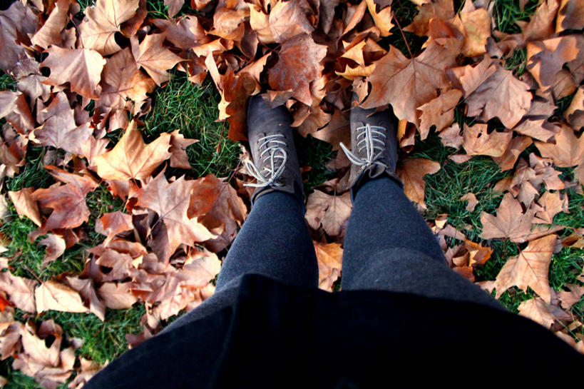 腿,一个人,站,横图,俯视,室外,特写,白天,鞋子,叶子,德国,休闲装,草,自然,打结,摄影,改变,四肢,科隆,秋天,彩图,高角度拍摄