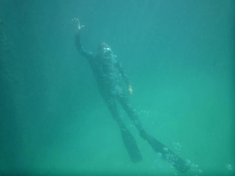 游泳,成年人,一个人,举,横图,探险,水下,美国,仅一个男性,蓝色,泡泡,托,潜水服,摄影,脚蹼,北美,北美洲,美洲,佛罗里达,佛罗里达州,佛州,阳光州,浮潜,北亚美利加洲,亚美利加洲,冒险,举起,举手,举着,向上举,向上伸,向上托,彩图,美利坚合众国