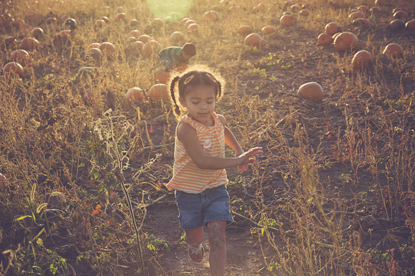 儿童,两个人,跑,横图,室外,正面,纯洁,南瓜,蔬菜,美国,田地,休闲装,饮食,草,小孩,黄昏,可爱,童年,童趣,摄影,南瓜地,童真,烂漫,无邪,天真,男孩,女孩,孩子,彩图,爱荷华