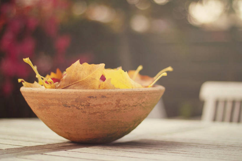 无人,横图,室外,白天,桌子,静物,叶子,比利时,木制,自然,碗,摄影,脆弱,改变,秋天,彩图