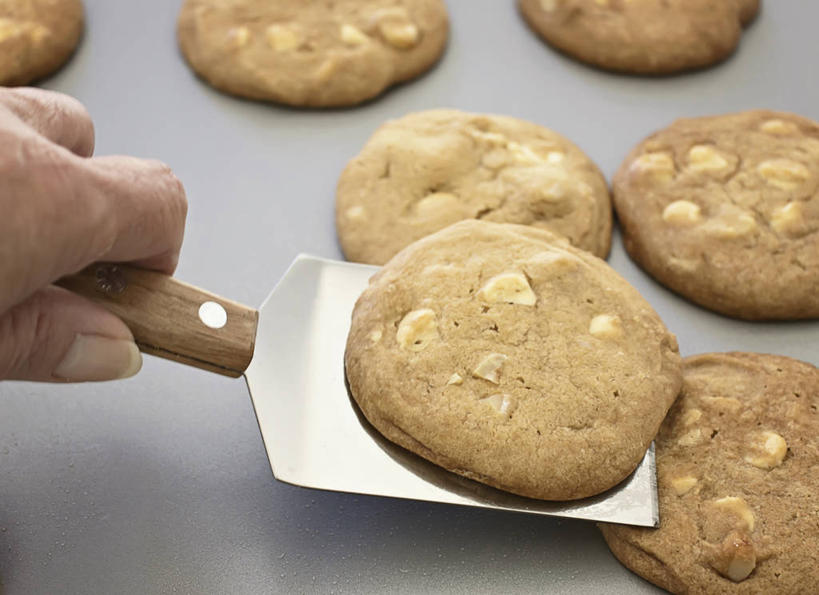 手,一个人,横图,特写,白色背景,美国,曲奇,拿着,白巧克力,饮食,甜食,摄影,部分,北美,北美洲,美洲,佛罗里达,佛罗里达州,佛州,阳光州,北亚美利加洲,亚美利加洲,彩图,影棚拍摄,美利坚合众国