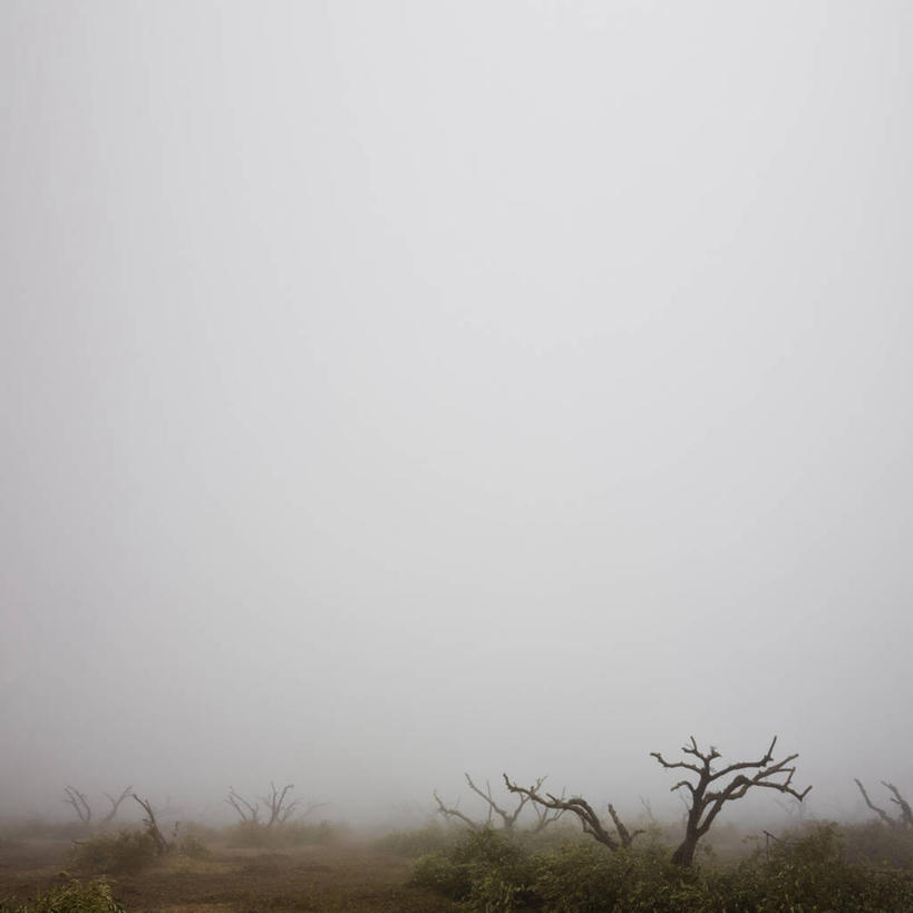 无人,方图,室外,白天,雾,西班牙,冬天,天气,格拉纳达,树,天空,自然,摄影,宁静,彩图