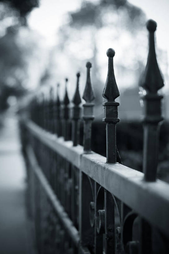 无人,竖图,黑白,室外,白天,城市,美国,铁,篱笆,钢筋,摄影,保护,加利福尼亚,铁艺,式样,帕萨迪纳