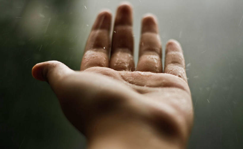 手,一个人,横图,室外,特写,白天,加拿大,湿,雨滴,摄影,部分,接,多伦多,彩图,感知