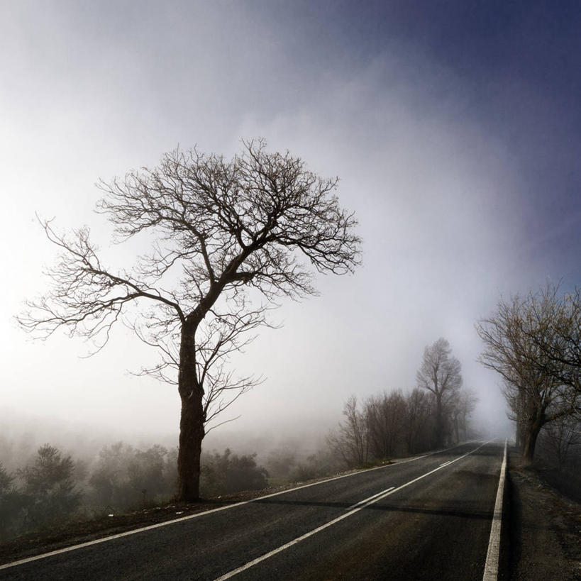 无人,方图,室外,白天,雾,路,西班牙,格拉纳达,树,天空,摄影,宁静,彩图