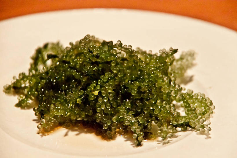 无人,横图,室内,特写,葡萄,日本,饮食,摄影,冲绳县,清新,马尾藻,彩图