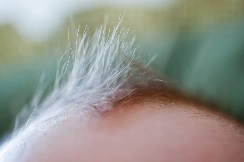 婴儿,头,一个人,横图,室外,特写,白天,时尚,美国,摄影,部分,莫西干头,头部,彩图