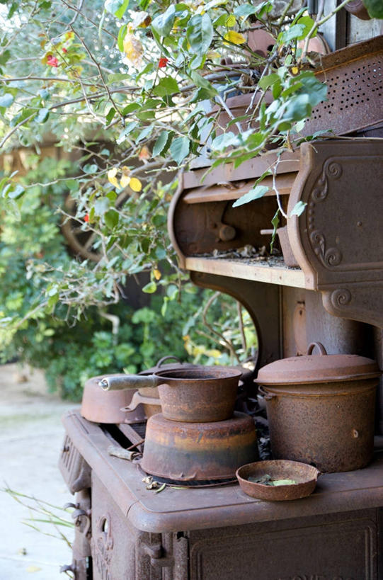 无人,竖图,室外,白天,美国,生锈,树,摄影,腐蚀,侵蚀,炊具,圣地牙哥市,腐化,锈迹斑斑,彩图