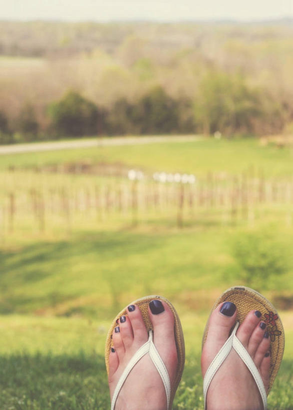 无人,竖图,室外,特写,白天,凉鞋,鞋子,美国,葡萄园,夏天,放松,摄影,部分,足,田纳西,彩图,夹趾拖鞋,人字拖,人字拖鞋