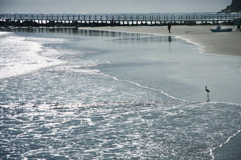 无人,横图,室外,白天,海浪,海洋,巴西,鸟类,天空,自然,波浪,看,摄影,宁静,海滩,彩图