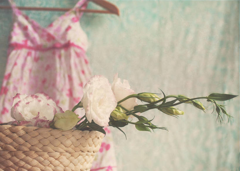 无人,横图,室内,特写,白天,衣架,纺织品,保加利亚,吊挂,悬挂,篮子,茎,挂,花蕾,花,白色,摄影,脆弱,彩图